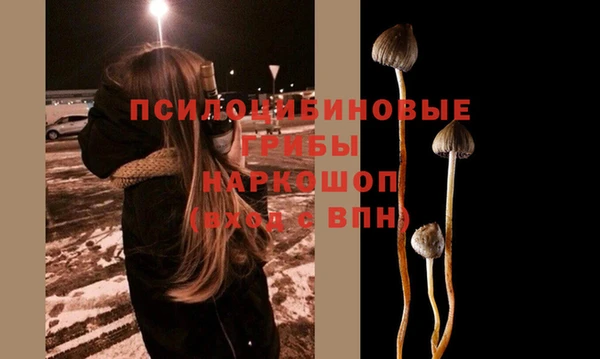 хмурый Наволоки
