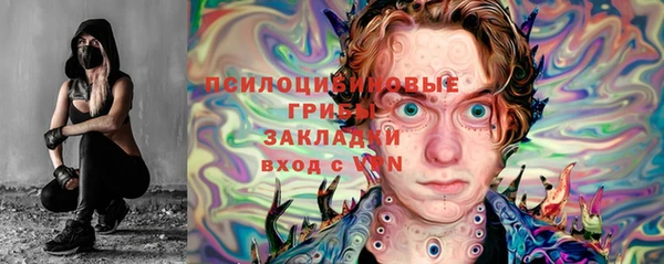 гидра Надым