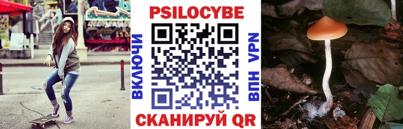 Купить  Солнечногорск  Псилоцибиновые грибы Magic Shrooms 